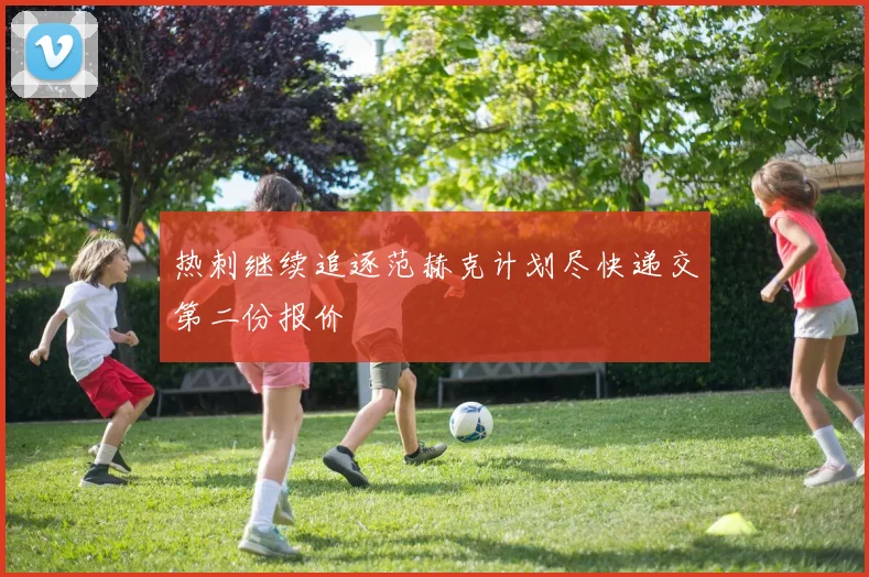 热刺继续追逐范赫克计划尽快递交第二份报价